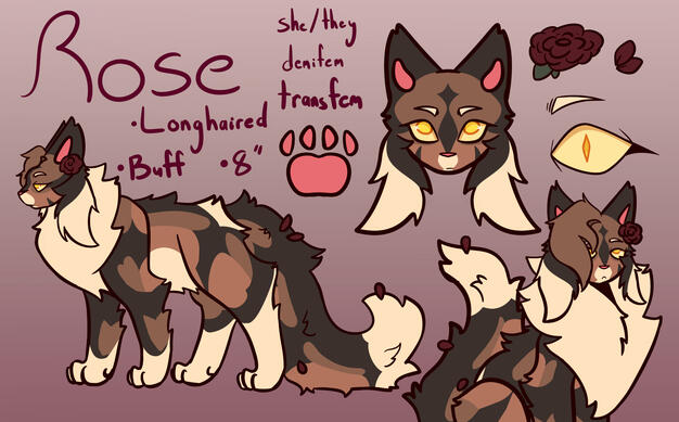 A character reference sheet for a mackerel tabby cat.